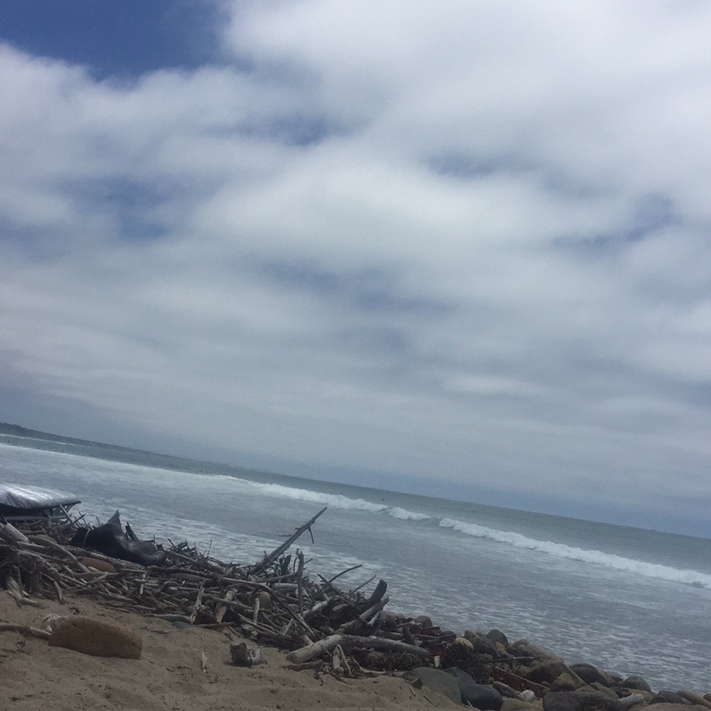 Meet your Posher, Heidi